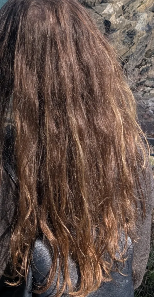 Long brown hair before its curl cut, undefined and frizzy